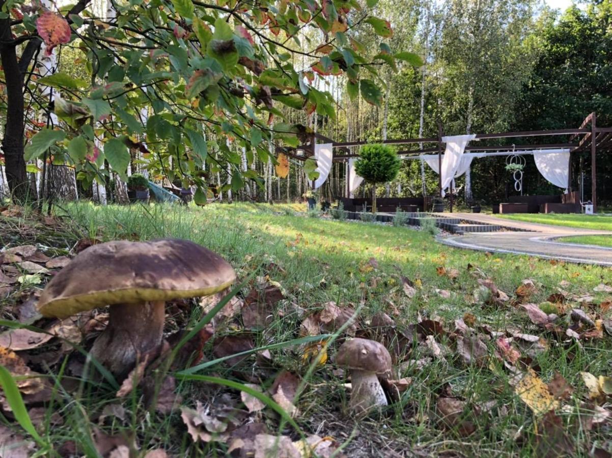 Gosciniec Pod Lasem Grabowce Dolne Exteriér fotografie